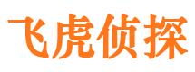 前进侦探公司